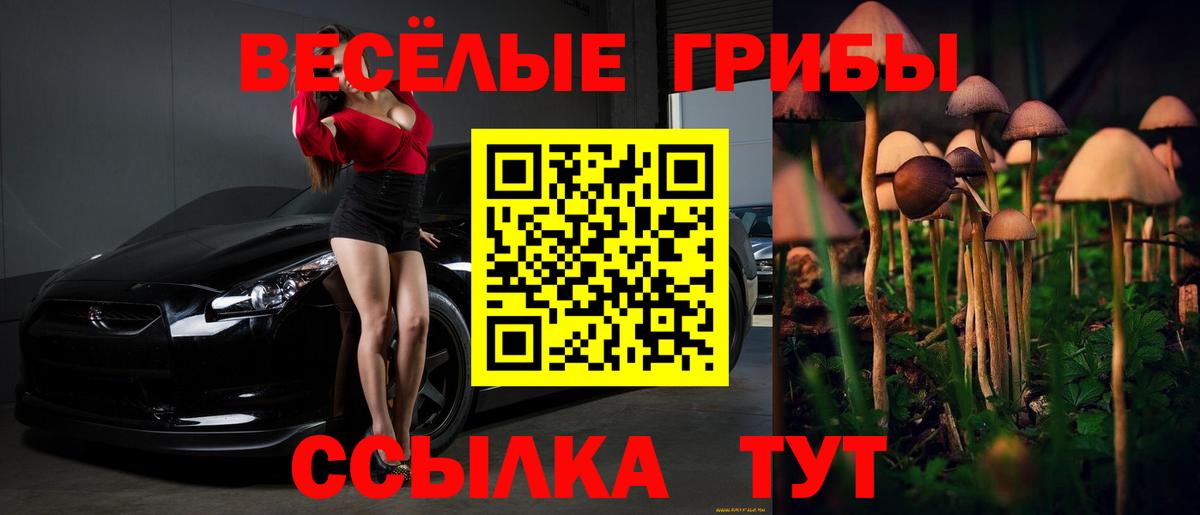 Галлюциногенные грибы ЛСД Калининград
