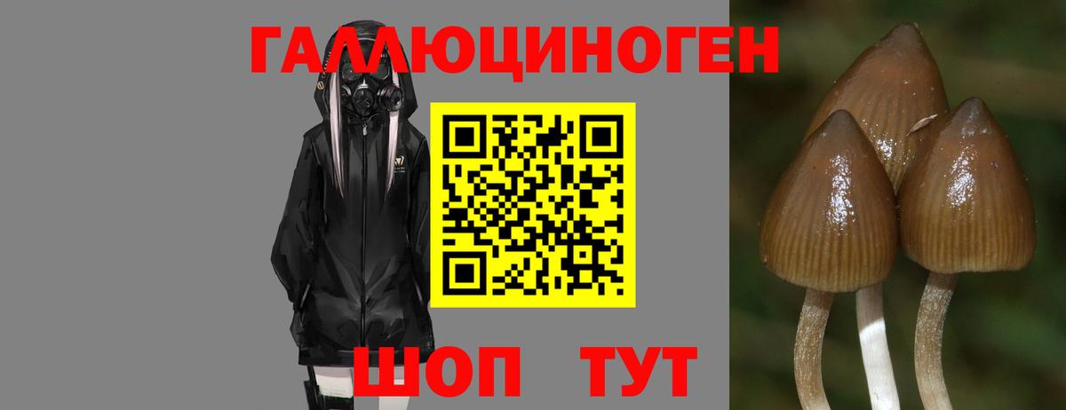 Калининград  Галлюциногенные грибы мицелий  Галлюциногенные грибы ЛСД  Вход с VPN 